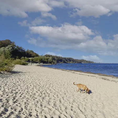 Dedala Apartment 300M To The Beach With Parking By Noclegi Renters *