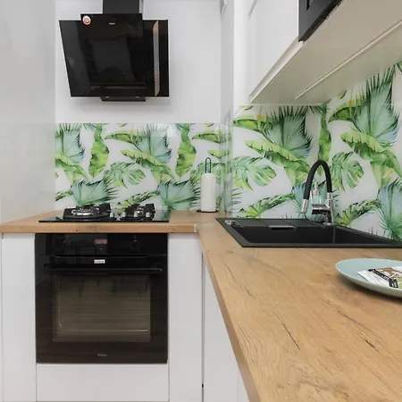 Daire Dedala Apartment 300M To The Beach With Parking By Noclegi Renters *