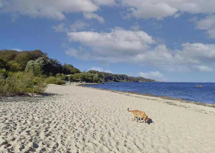 Dedala 300m To The With Parking By Renters *